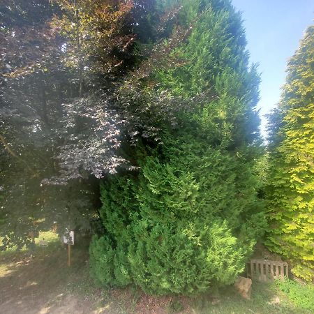 Bed and Breakfast Camden House Aubry-le-Panthou Экстерьер фото